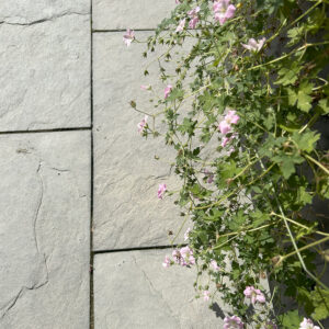 Grå Limestone mix