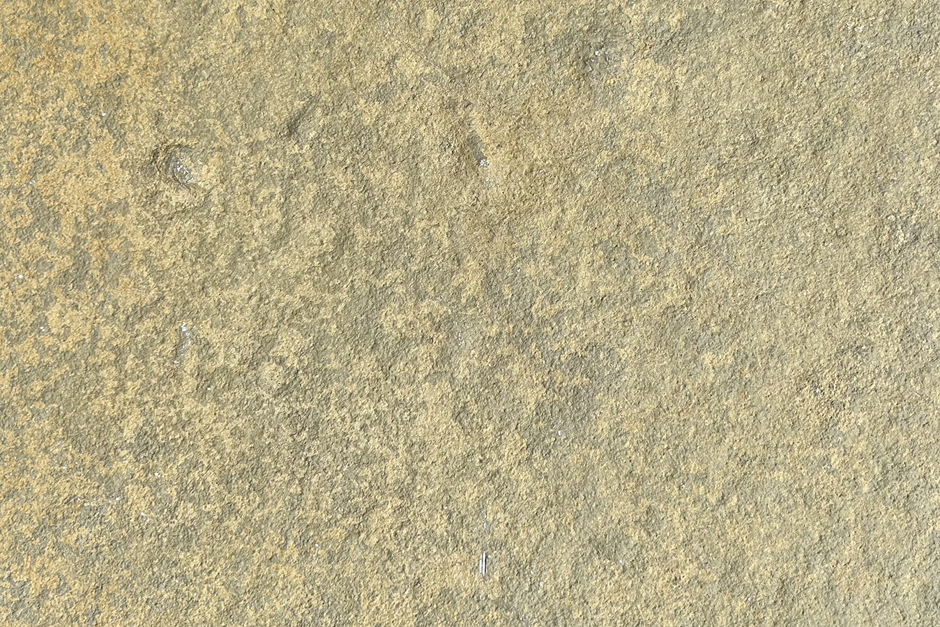 Gul Limestone 1