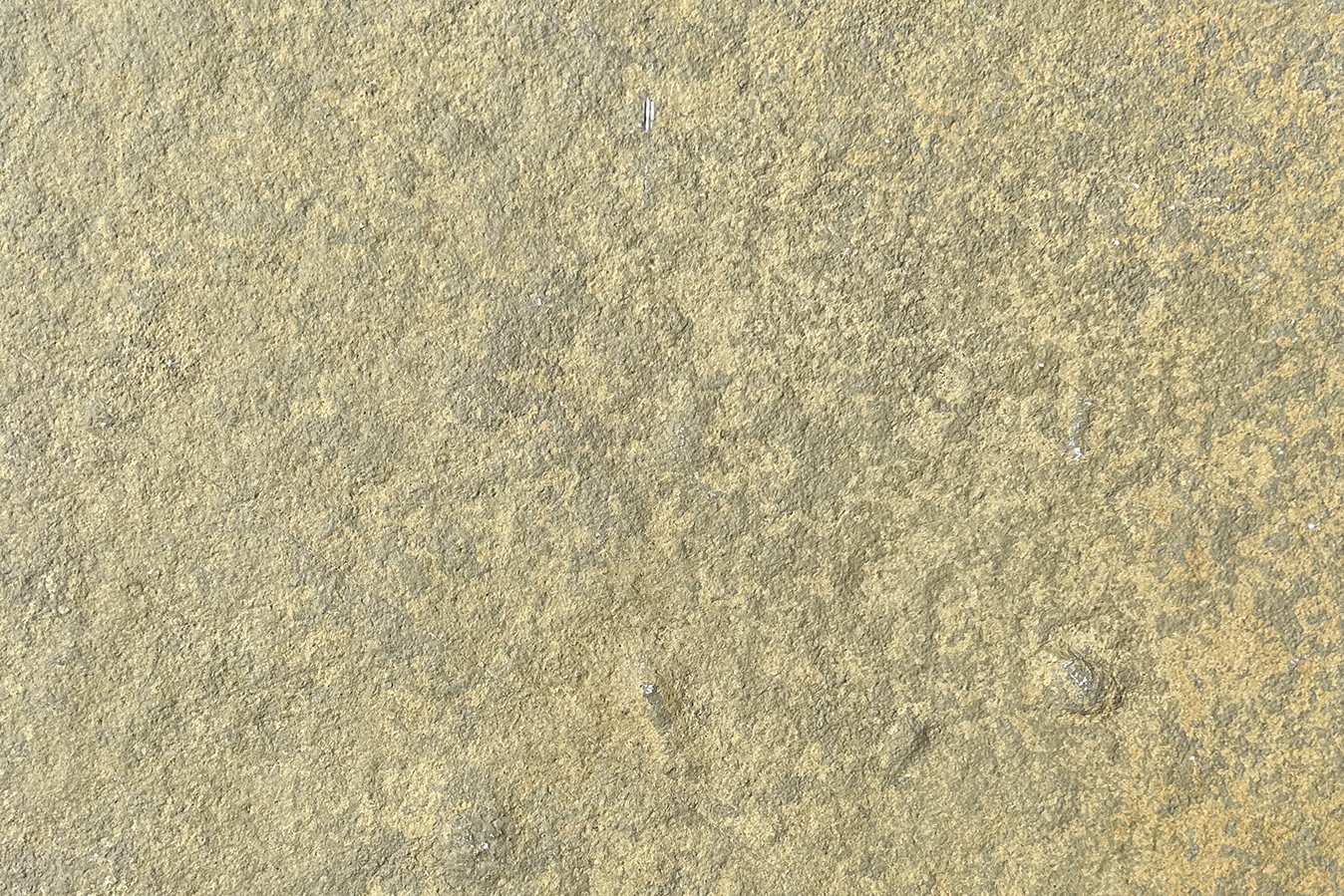 Gul Limestone 2