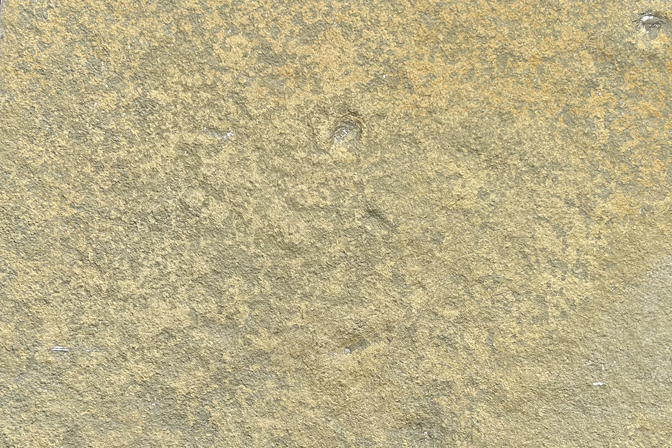 Gul Limestone 6